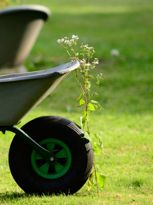 Gartenarbeit